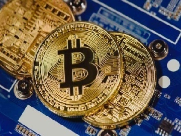 业主踩狗屎摔成十级伤残 自己担主责